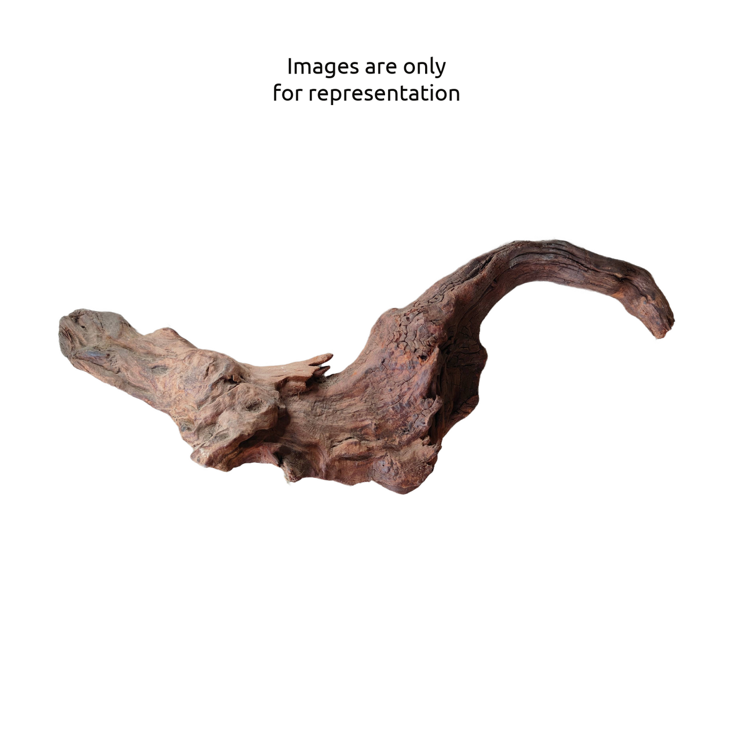 Driftwood / Bogwood Local