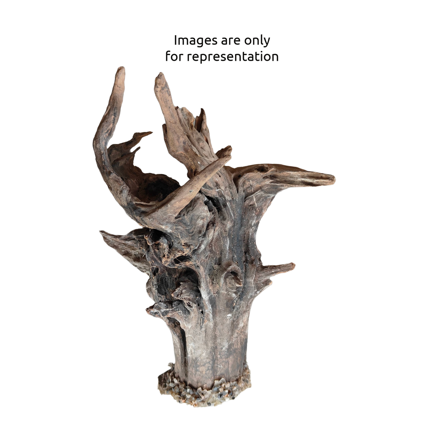 Driftwood / Bogwood Local