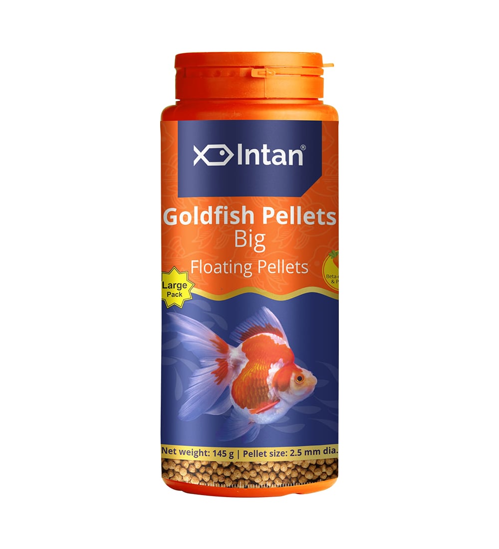 Intan Goldfish Pellets Big 55g 140g Floating Pellets Fish Flow