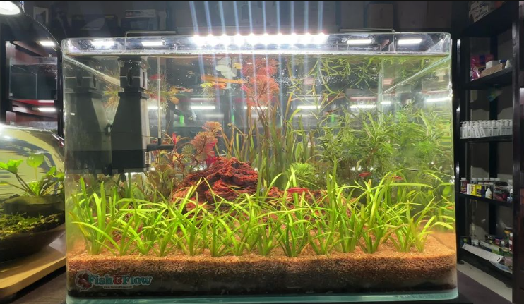 Fish&Flow Bio Base | Filter Media | 250g