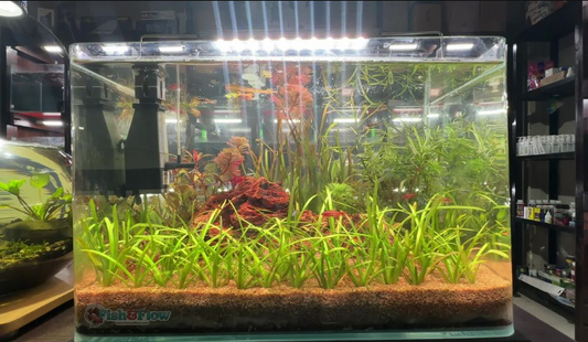 Fish&Flow Bio Base | Filter Media | 250g