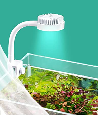 Aquatic Remedies - Cube One Mini USB Light | 5w