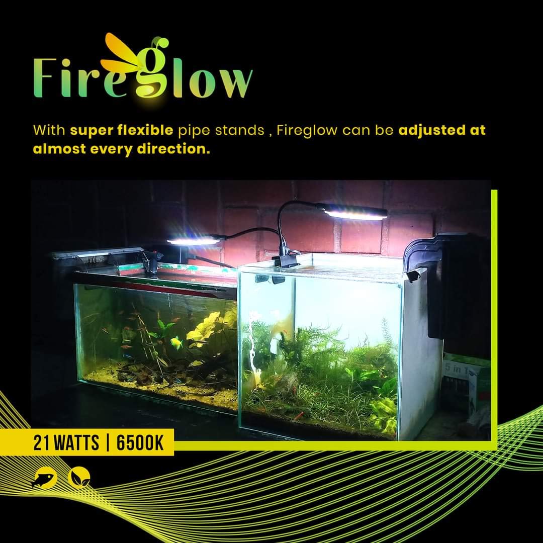 Fireglow 6500K LED Clip On Light 21w Fish Flow