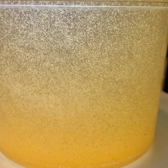 Brine Shrimp Eggs - Artemia | 60g