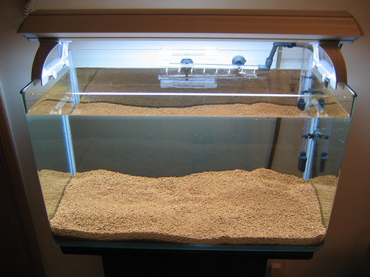 How to pick an aquarium size?