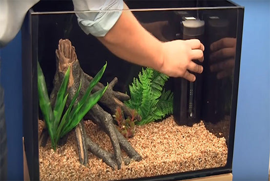 What do you need to know before setting up your aquarium? 