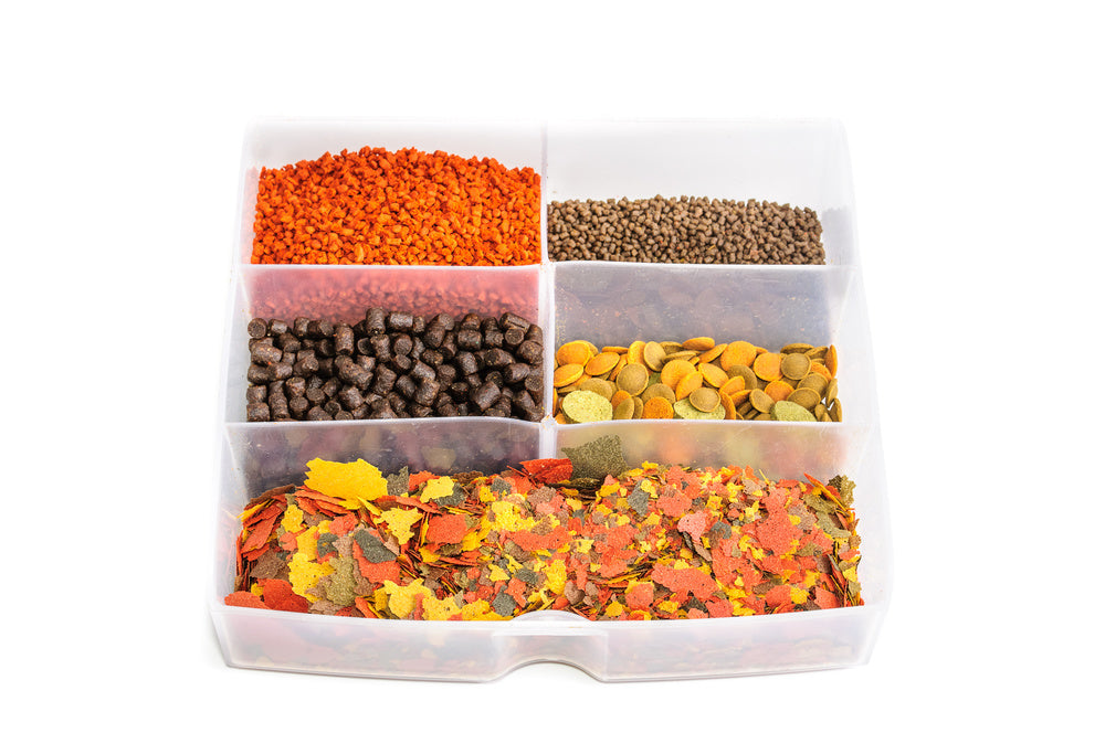 Are you feeding your fish correctly?  