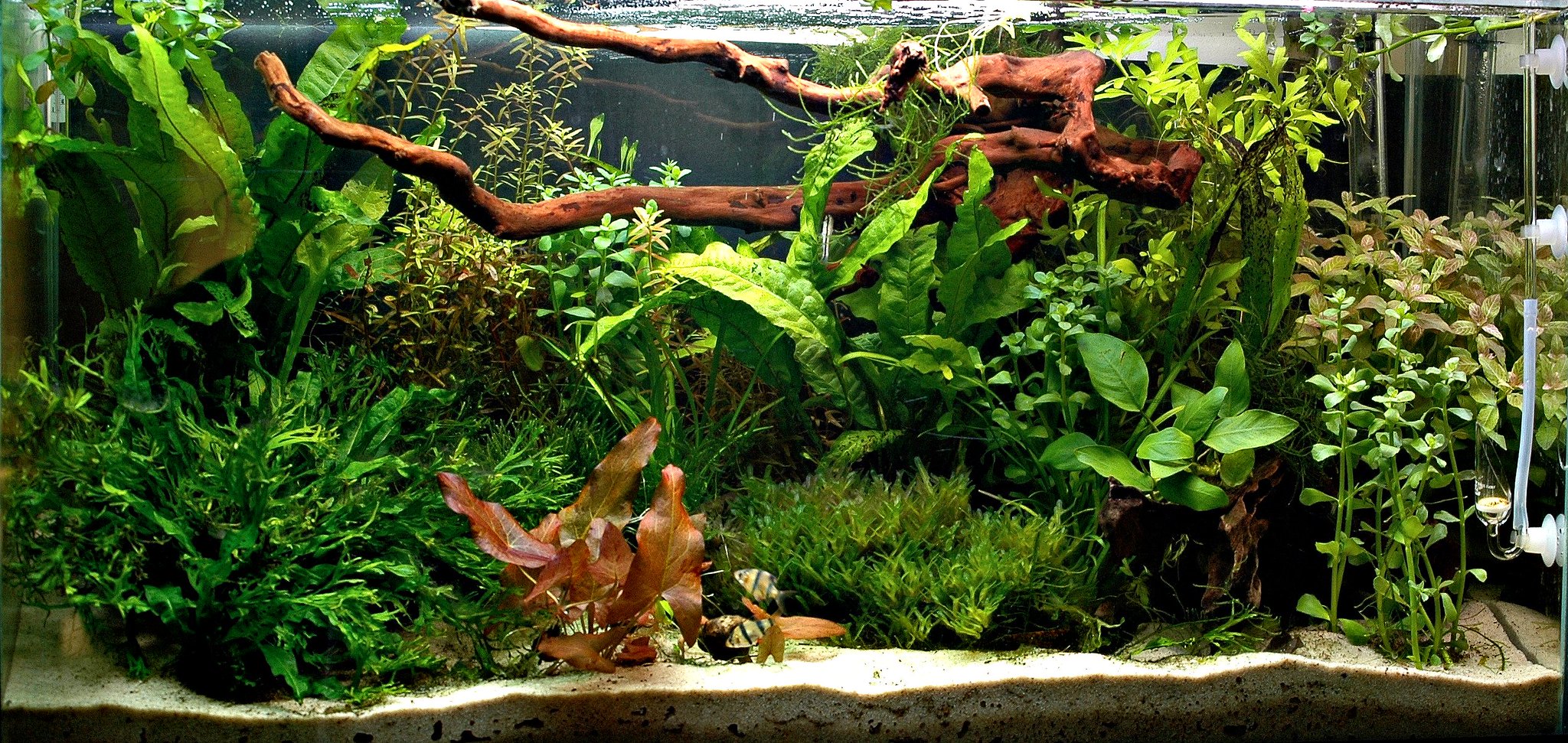 Lights – Fish&Flow Lights – Fish&Flow