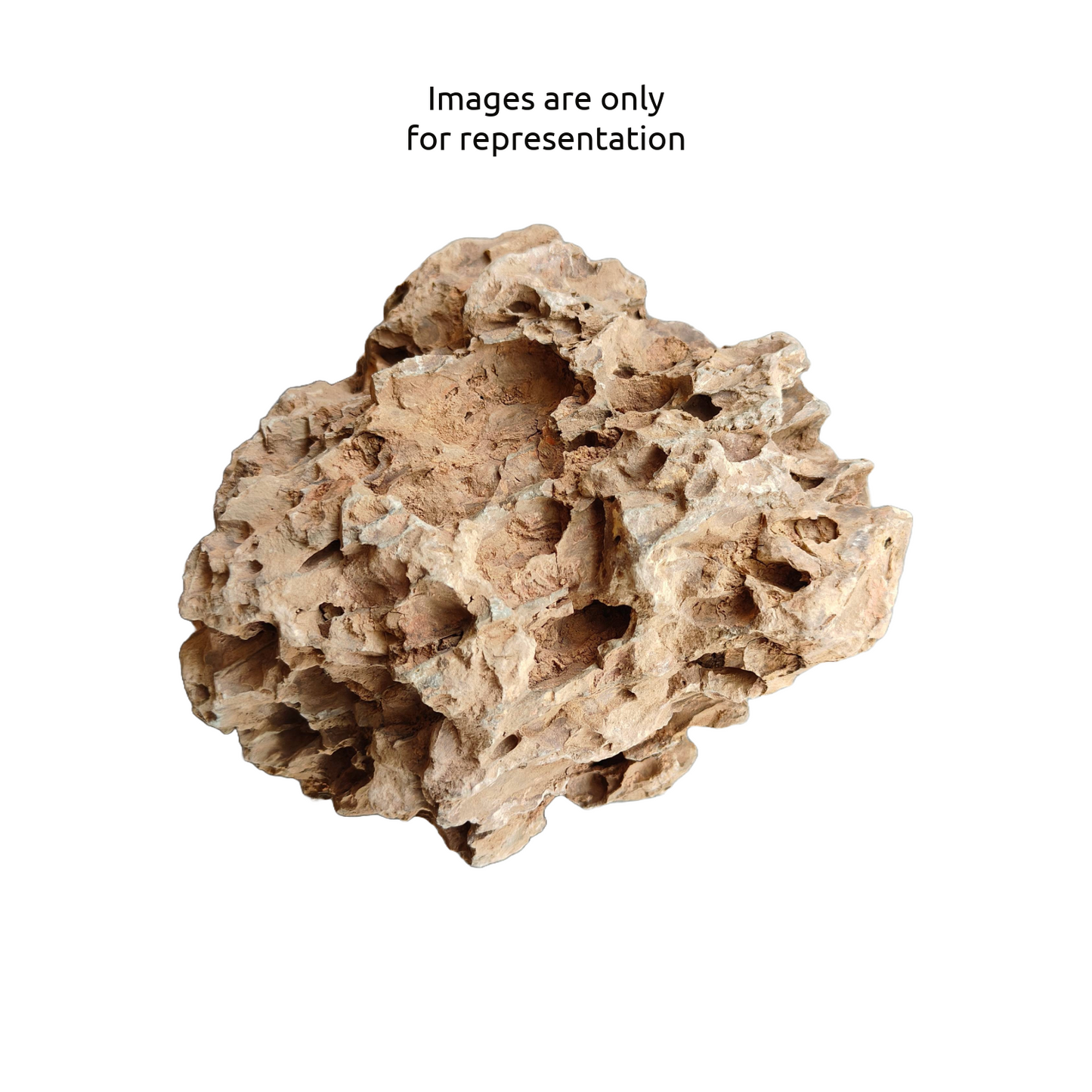 Dragon Stone | 1kg