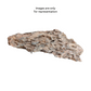 Dragon Stone | 1kg