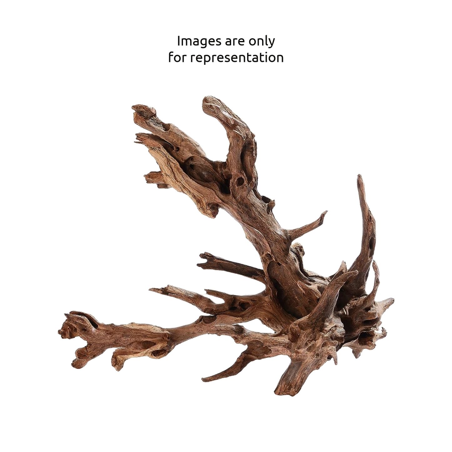 Driftwood / Bogwood Local