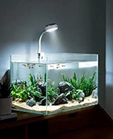Aquatic Remedies - Cube One Mini USB Light | 5w