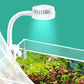 Aquatic Remedies - Cube One Mini USB Light | 5w